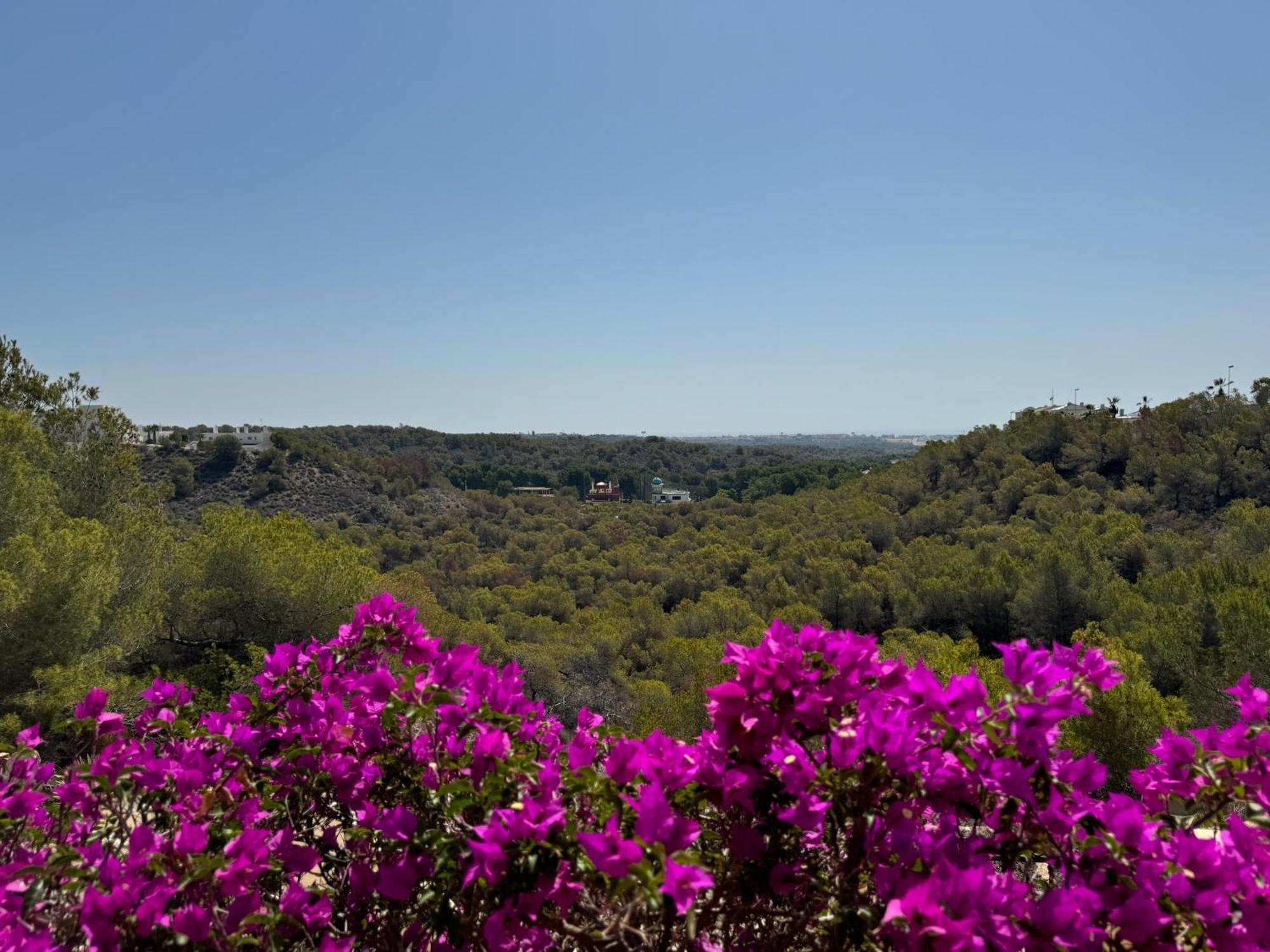 Orihuela - Las Ramblas - Casa Pino Dehesa de Campoamor  Esterno foto
